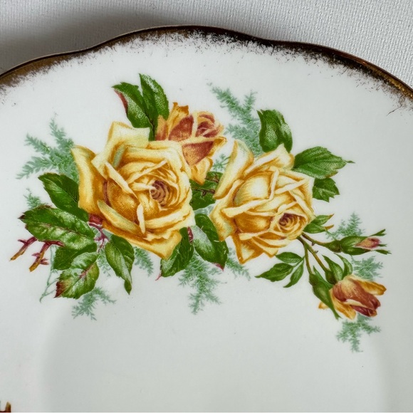 Vintage Royal Albert Plate - Tea Rose - Picture 2 of 7